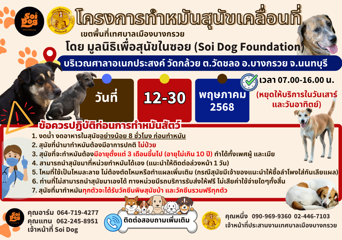 โครงการทำหมันสุนัขเคลื่อนที่ โดยมูลนิธิเพื่อสุนัชในซอย(Soi dog foundation)